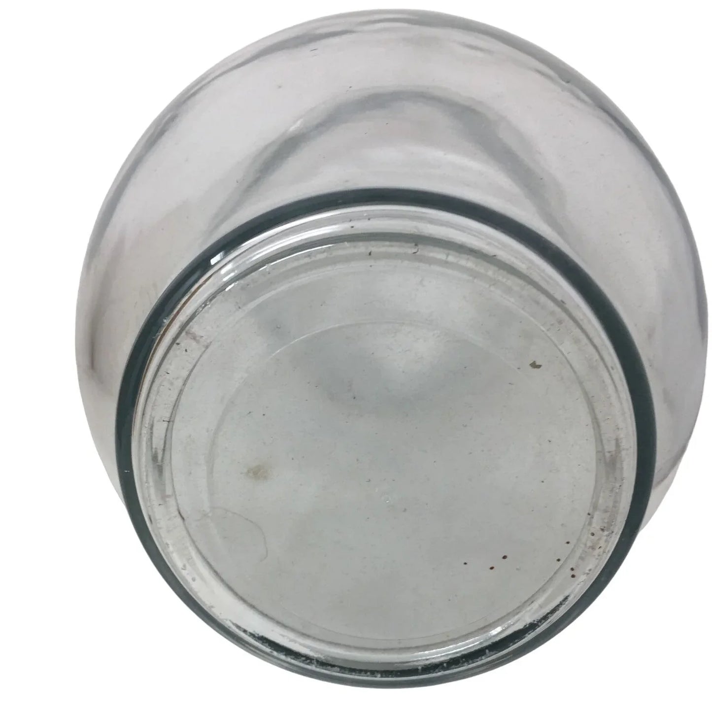 Clear Wide Glass Flower Vase- 8 inches tall A+ Stuff A+ Stuff