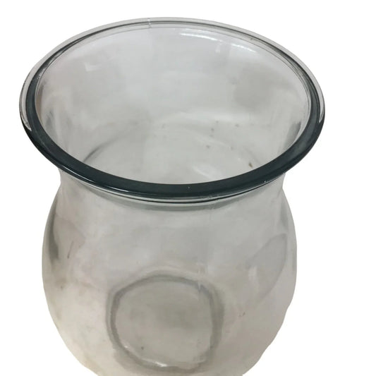 Clear Wide Glass Flower Vase- 8 inches tall A+ Stuff A+ Stuff