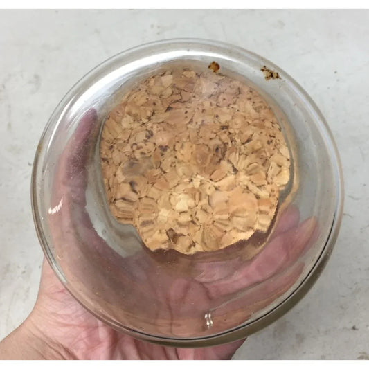 Vintage Small Clear Glass Jar/Container with Cork Lid - A+ Stuff