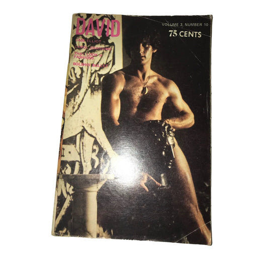 Vintage Men's Gay Magazines David- Cass Elliot- Carol Channing Vol 3 #10 & Cruise Weekly Vol 4 #5 - A+ Stuff
