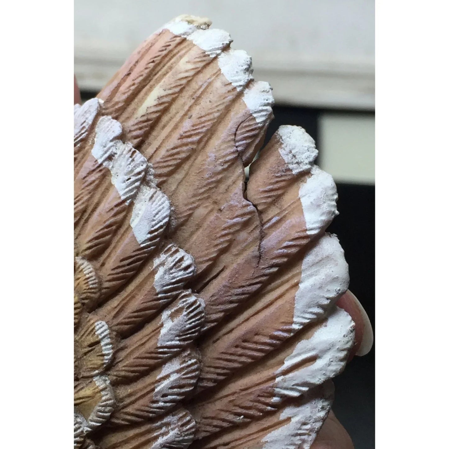 Thanksgiving Turkey With Pumpkins/Vegetables around it- Table Centerpiece/Figurine Decor A+ Stuff A+ Stuff