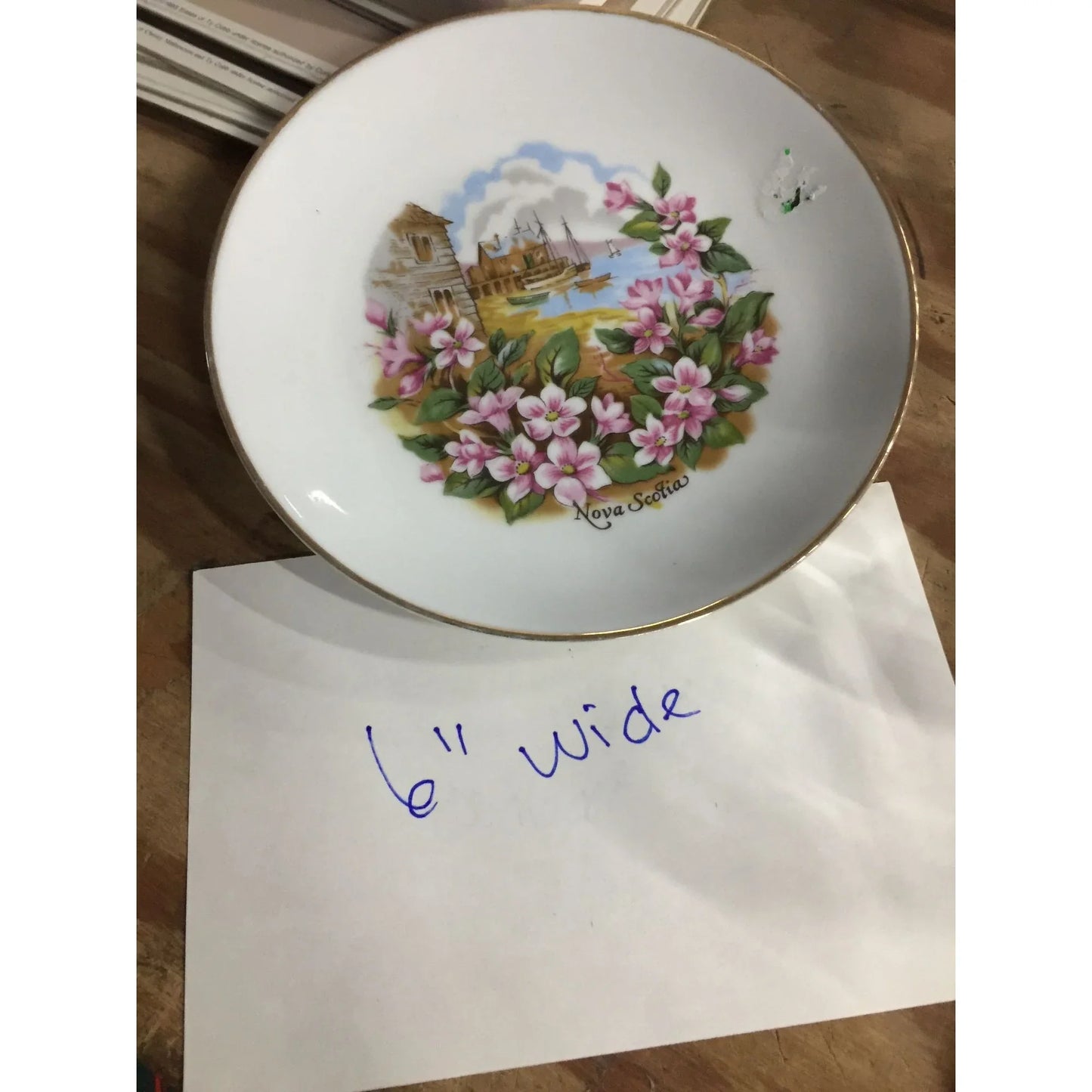 Vintage Porcelain Nova Scotia Seaside Pink Flower Scene Collector Souvenir Plate - A+ Stuff