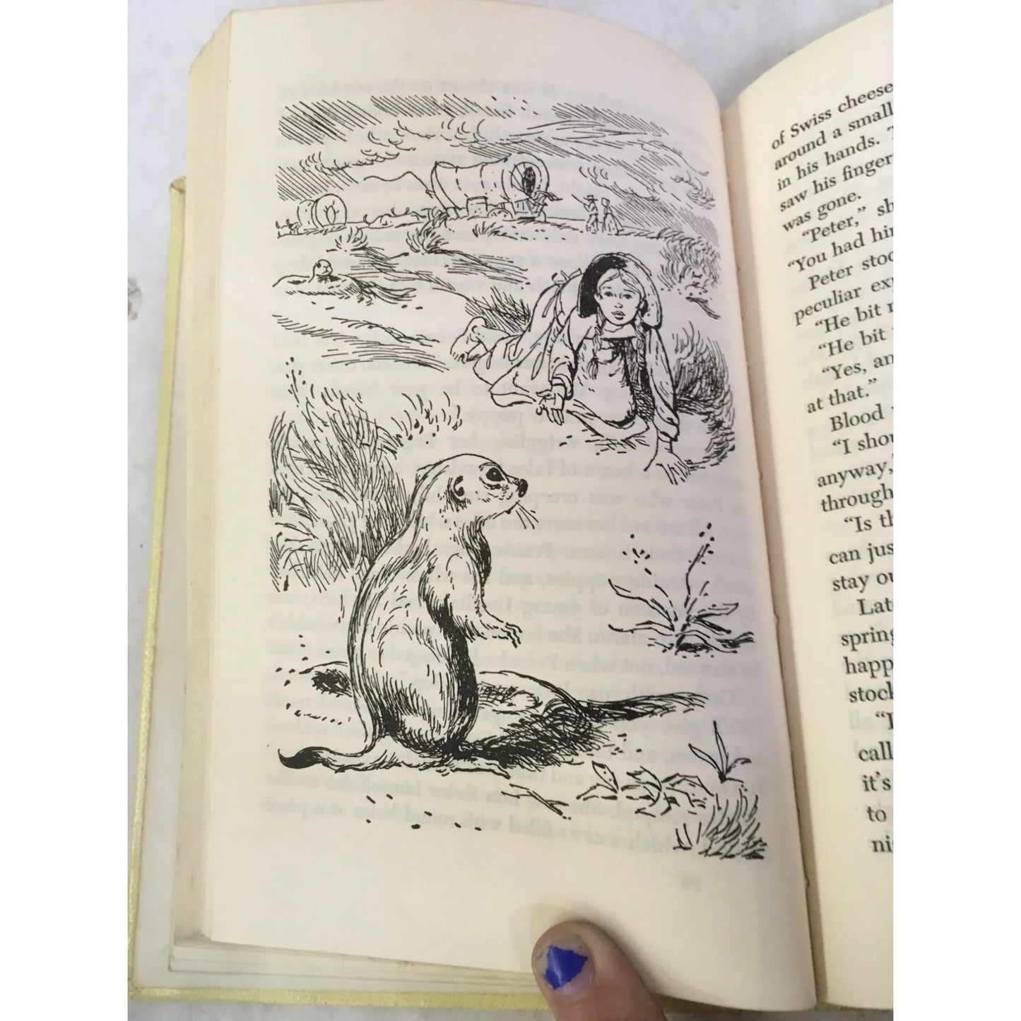 Vintage Tree Wagon by Evelyn Sibley Lampman Hardcover Book - A+ Stuff