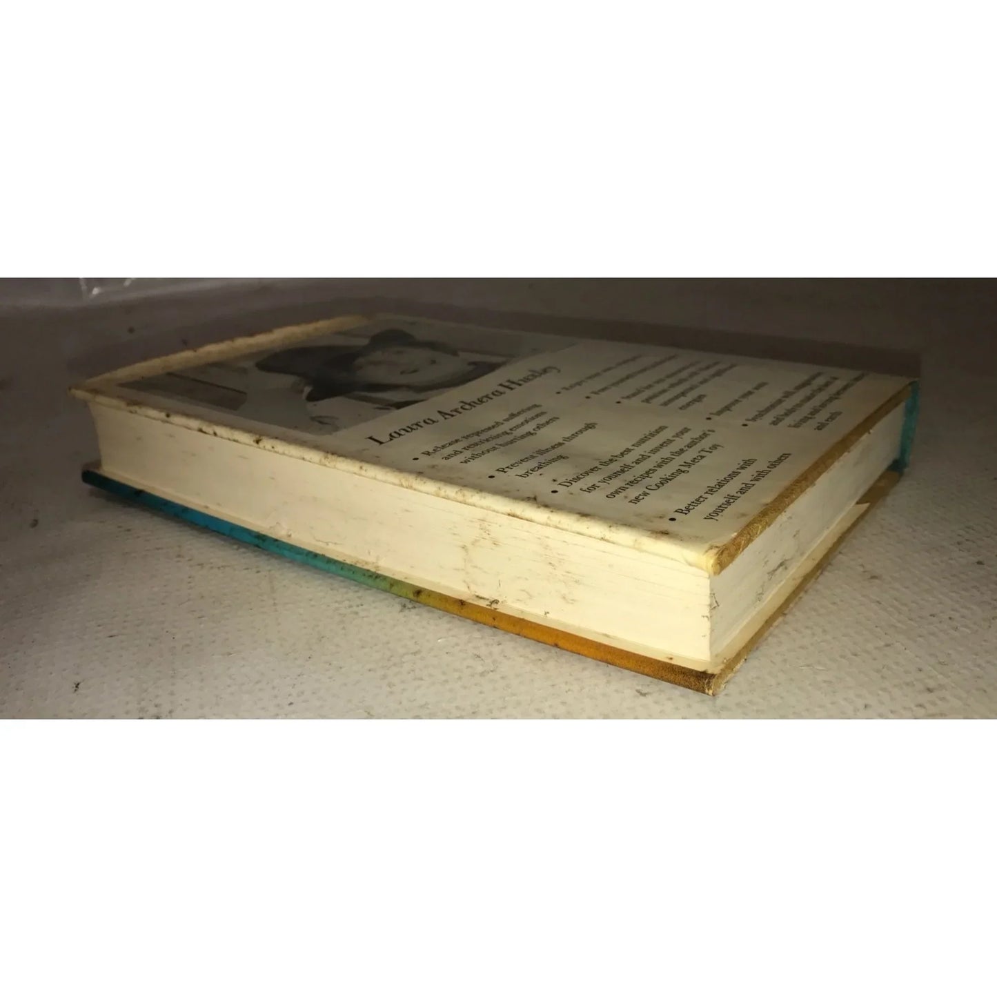 BETWEEN HEAVEN AND EARTH Book By Laura Archera Huxley - A+ Stuff