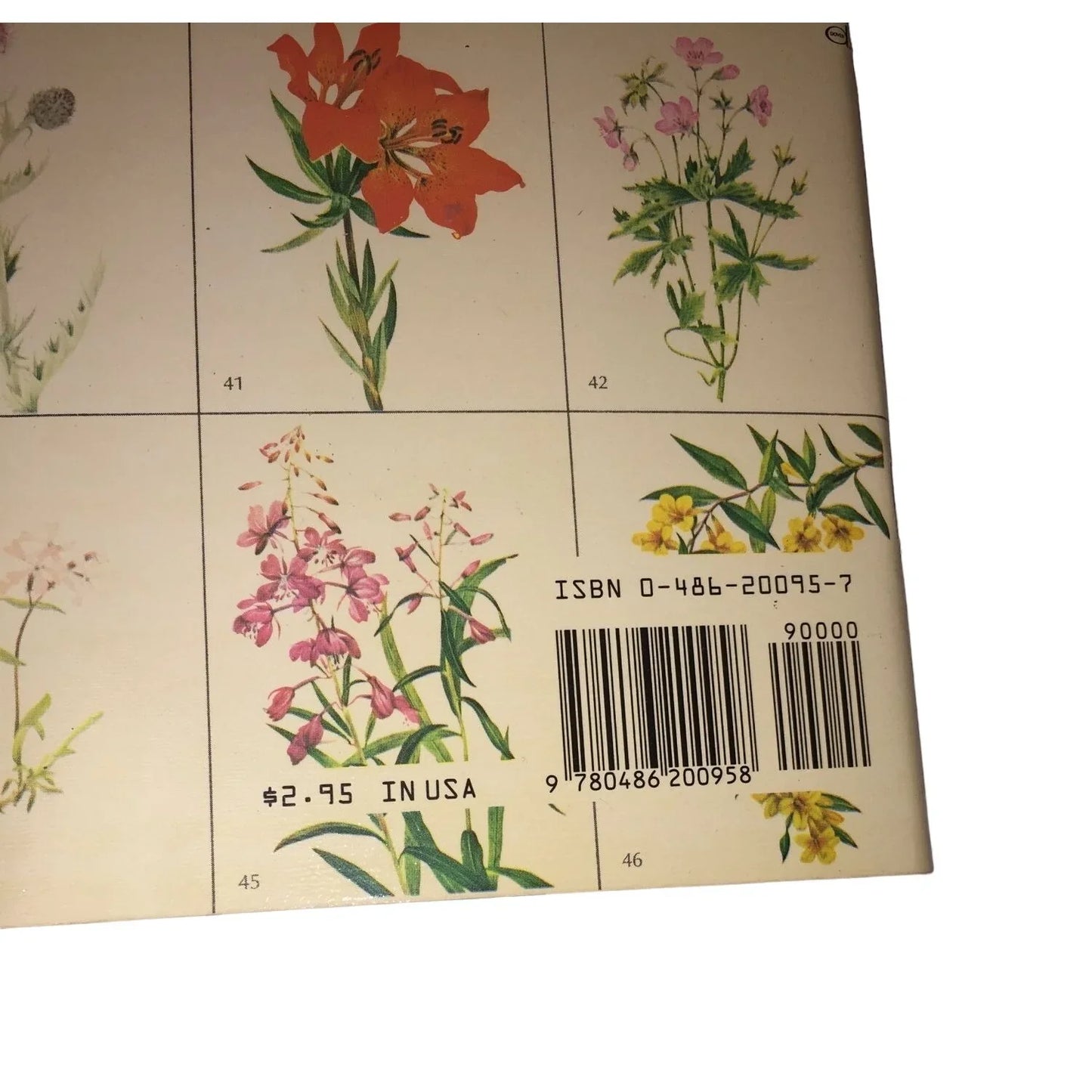American Wildflowers Coloring Book by Paul Kennedy Dover Coloring Book - A+ Stuff