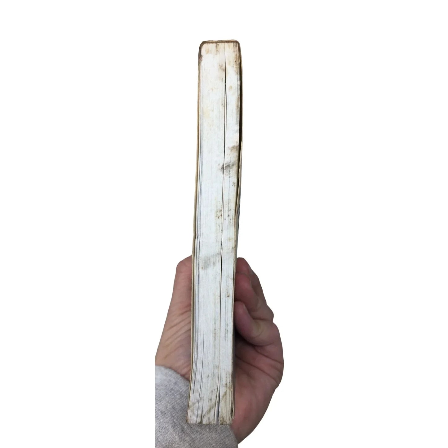 Ironic: Alanis Morissette the Story By Barry Grills Paperback Book - A+ Stuff