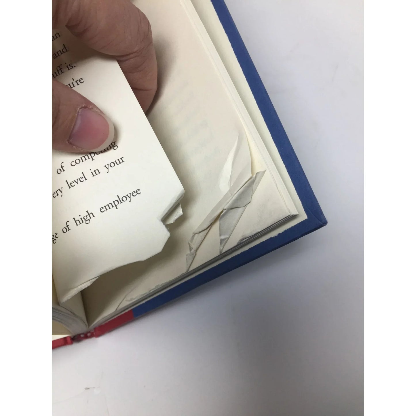 The Fred Factor Hardcover book by Mark Sanborn - A+ Stuff