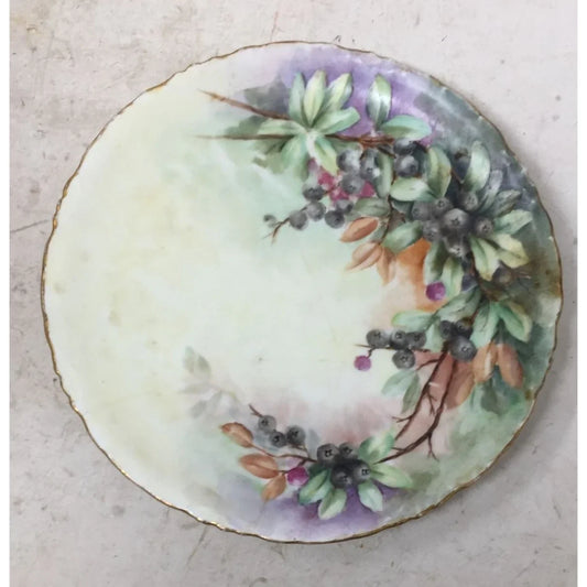 Bavaria 8" Hand Painted Plate with Berries and Flowers on it - A+ Stuff