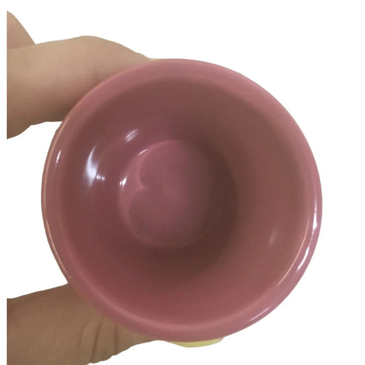 Pink Tennessee Collectible Drinking Shot Glass - A+ Stuff