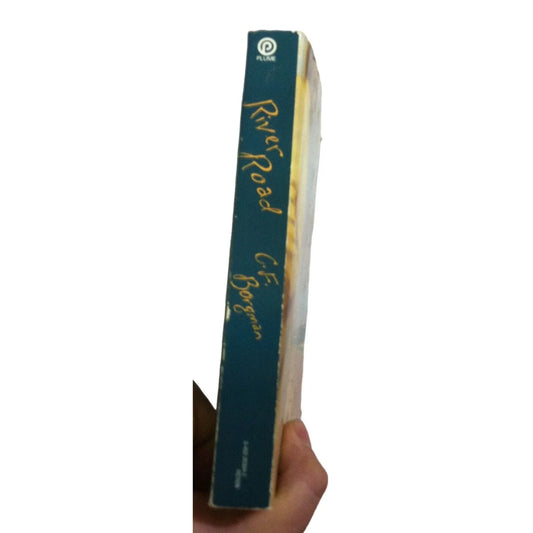 River Road A Novel- By C.F. Borgman Paperback Book - A+ Stuff