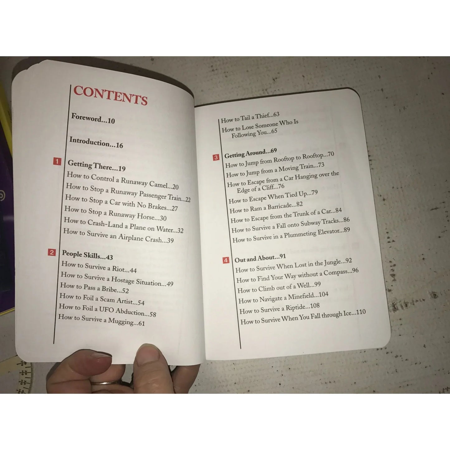 The Worst-Case Scenario Survival Handbook: Travel by Joshua Piven/David Borgenicht - A+ Stuff