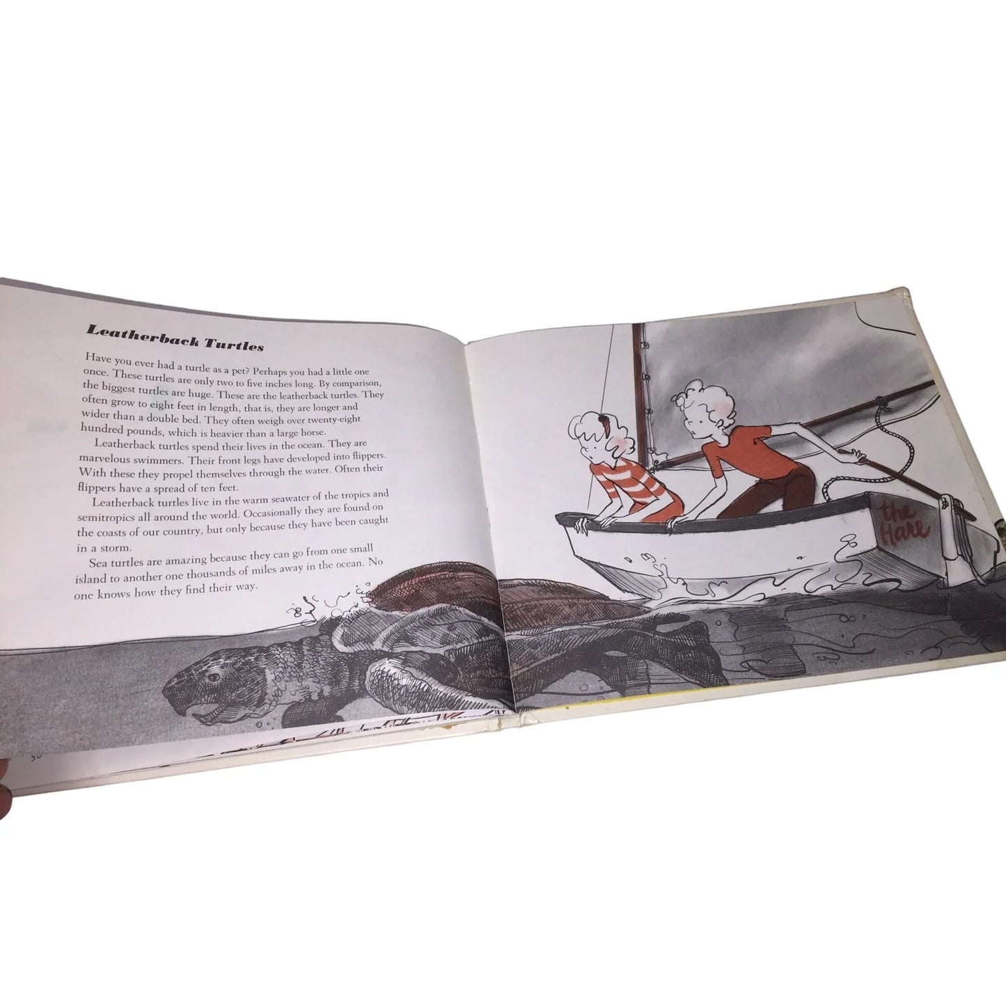 Giant animals Hardcover Book by Howard E. Smith Jr- copyright 1977 - A+ Stuff