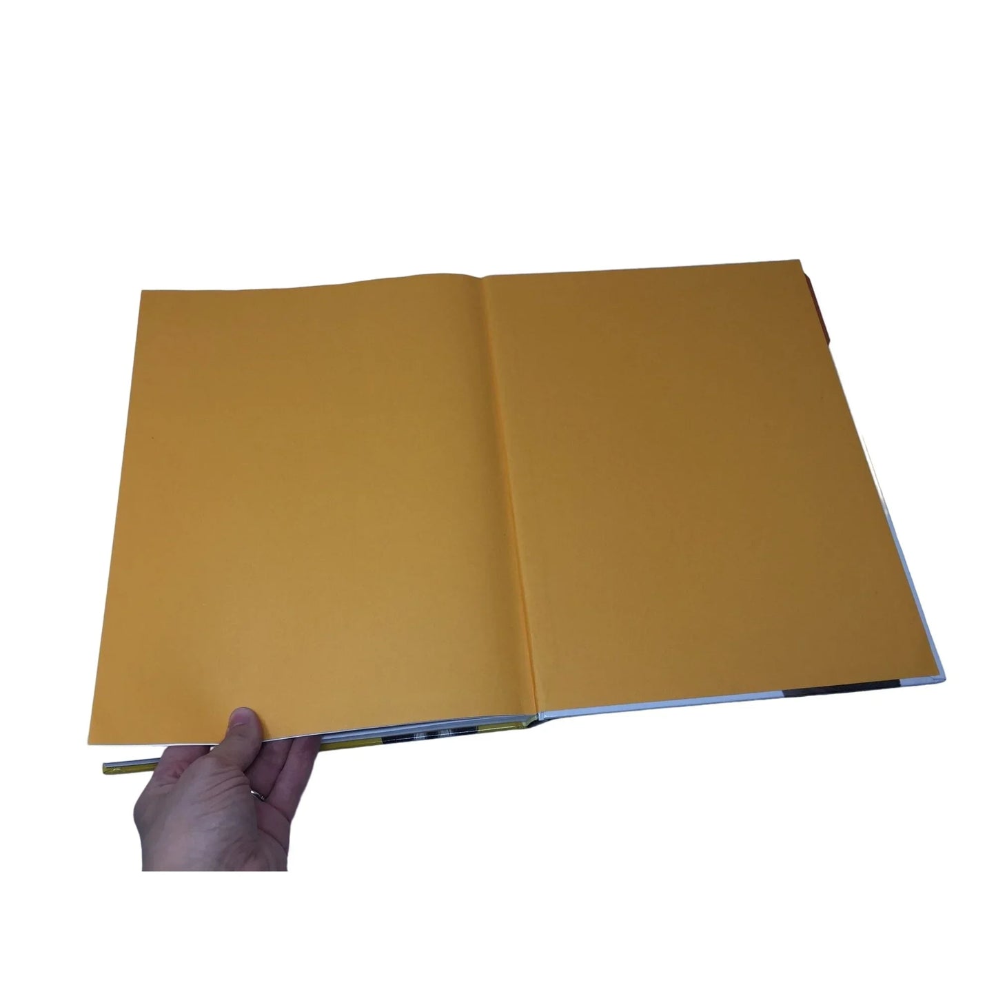 WHY? Over 1,111 Answers to Everything National Geographic Kids Book by Crispin Boyer - A+ Stuff