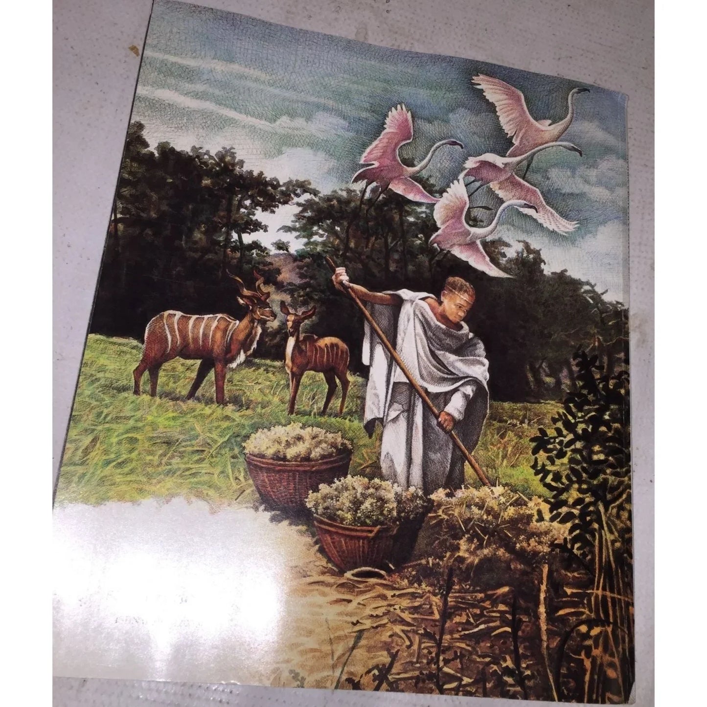 Mufaro's Beautiful Daughters Book By John Steptoe - A+ Stuff