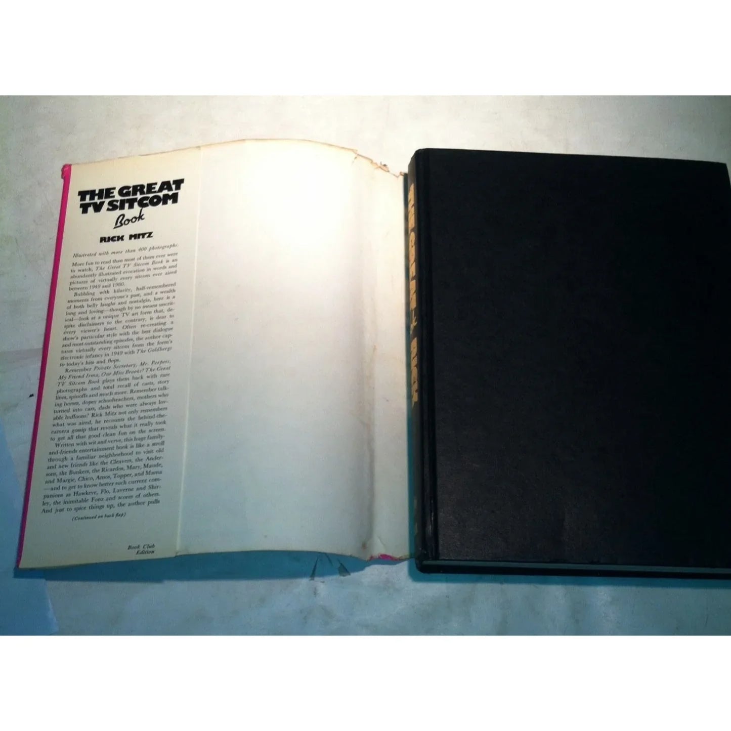 The Great TV Sitcom Book by Rick Mitz - A+ Stuff