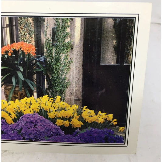 Longwood Gardens (A bright color combo in the Main Conservatory) Post card Longwood Gardens A+ Stuff