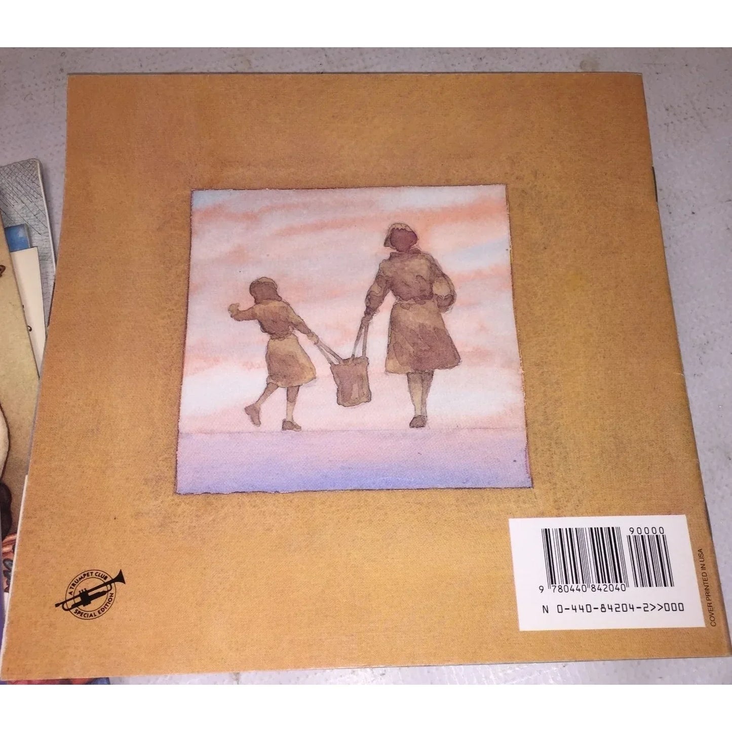 The Wednesday Surprise by Eve Bunting Picture Book - A+ Stuff