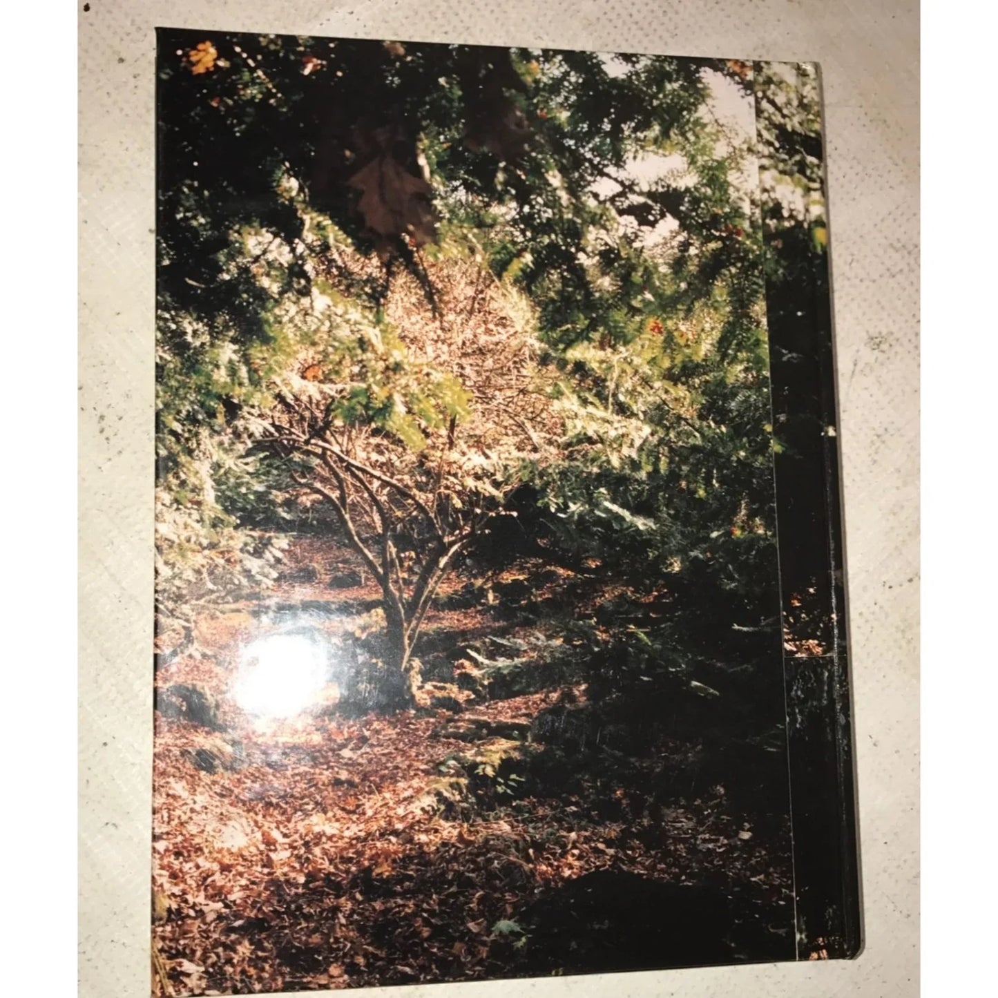 Vintage 1997 Weathervane - Maumee Valley Country Day School Yearbook - A+ Stuff
