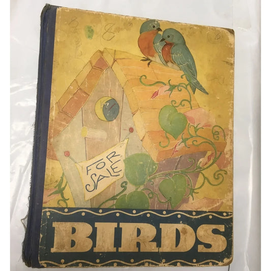 The Bird Book: Observations of Bird Life by Frank North Shankland - A+ Stuff