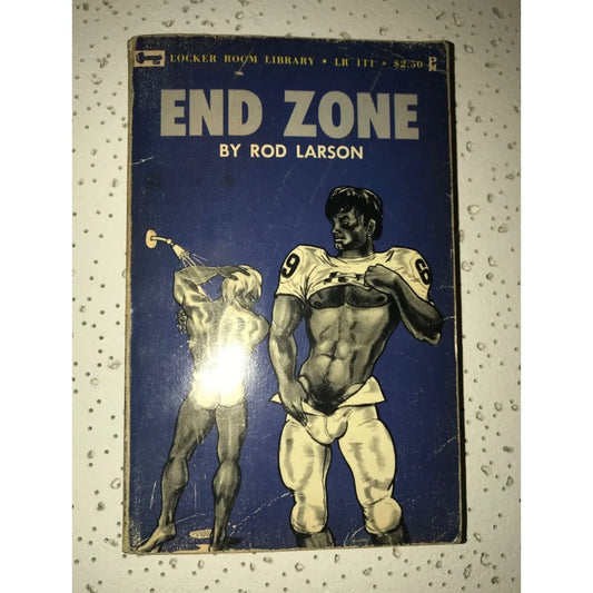 Vintage Locker Room Library End Zone by Rod Larson Paperback Book - A+ Stuff
