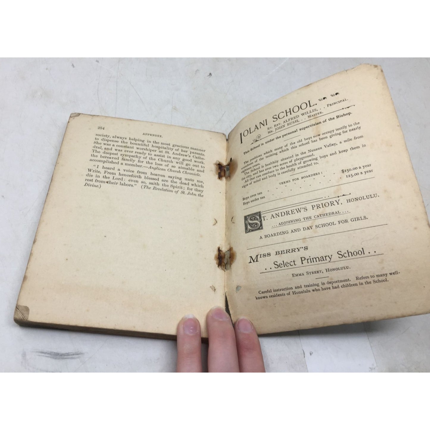 ''Hawaii'' Paperback Book by Anne M Prescott