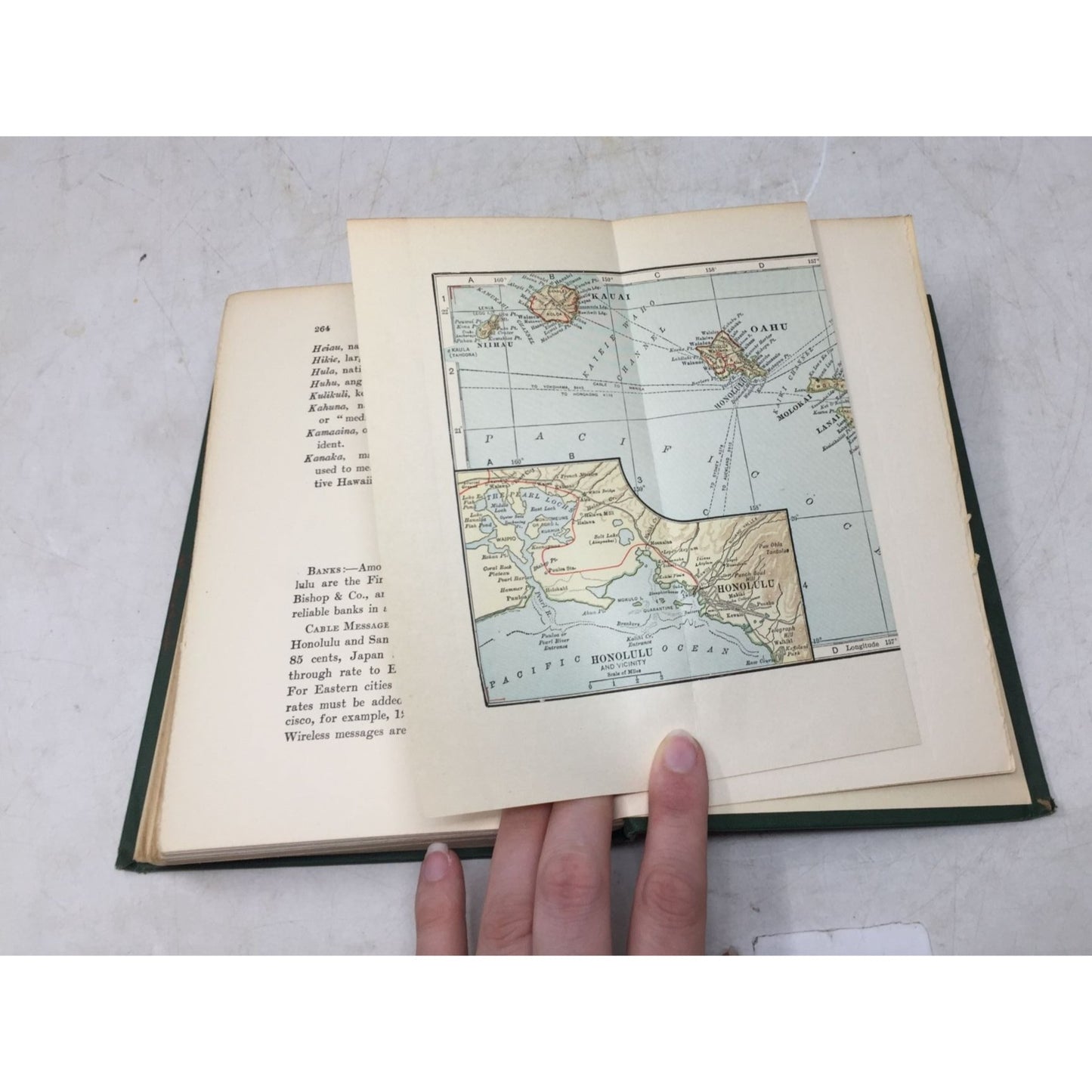 ''HAWAII PAST & PRESENT'' BY WILLIAM R CASTLE JR