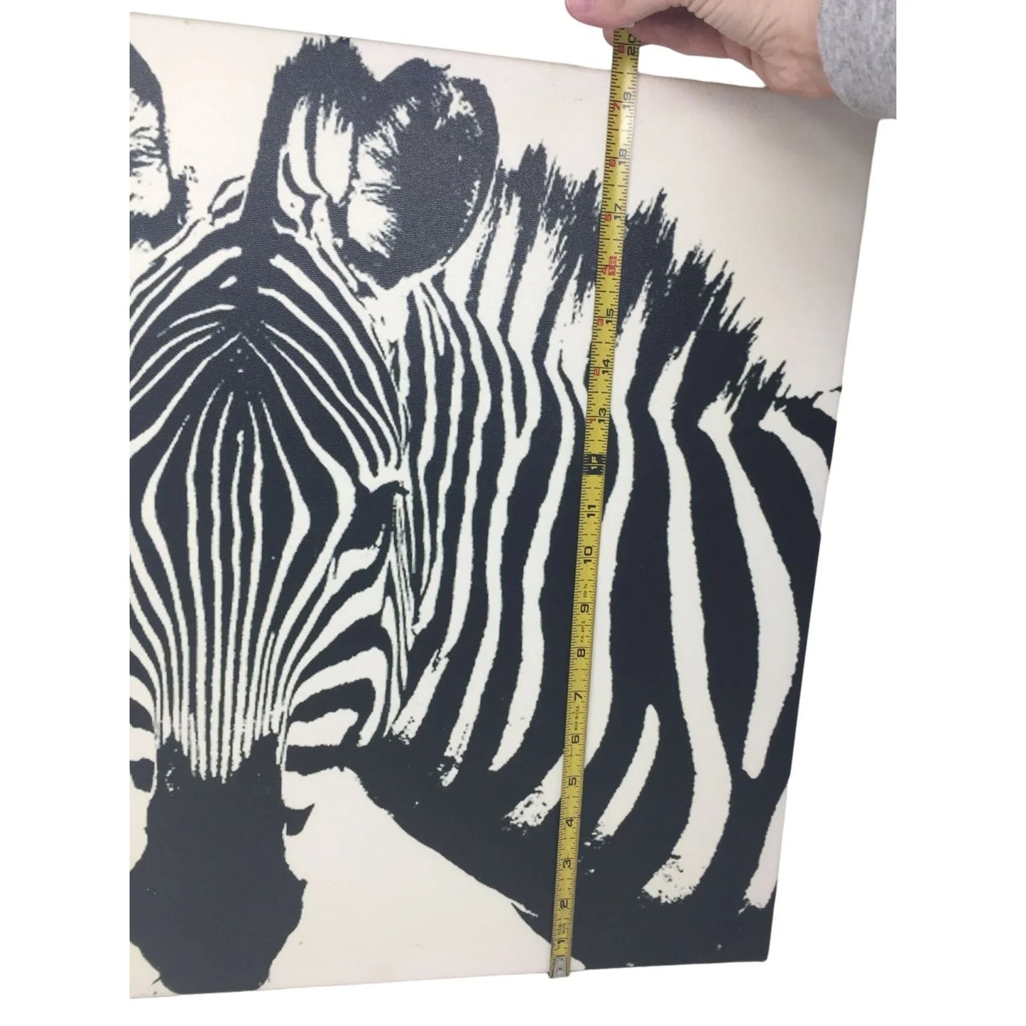 Fun Zebra Canvas Print 19.5" x 19.5" (Square) - Bold Art Piece - A+ Stuff
