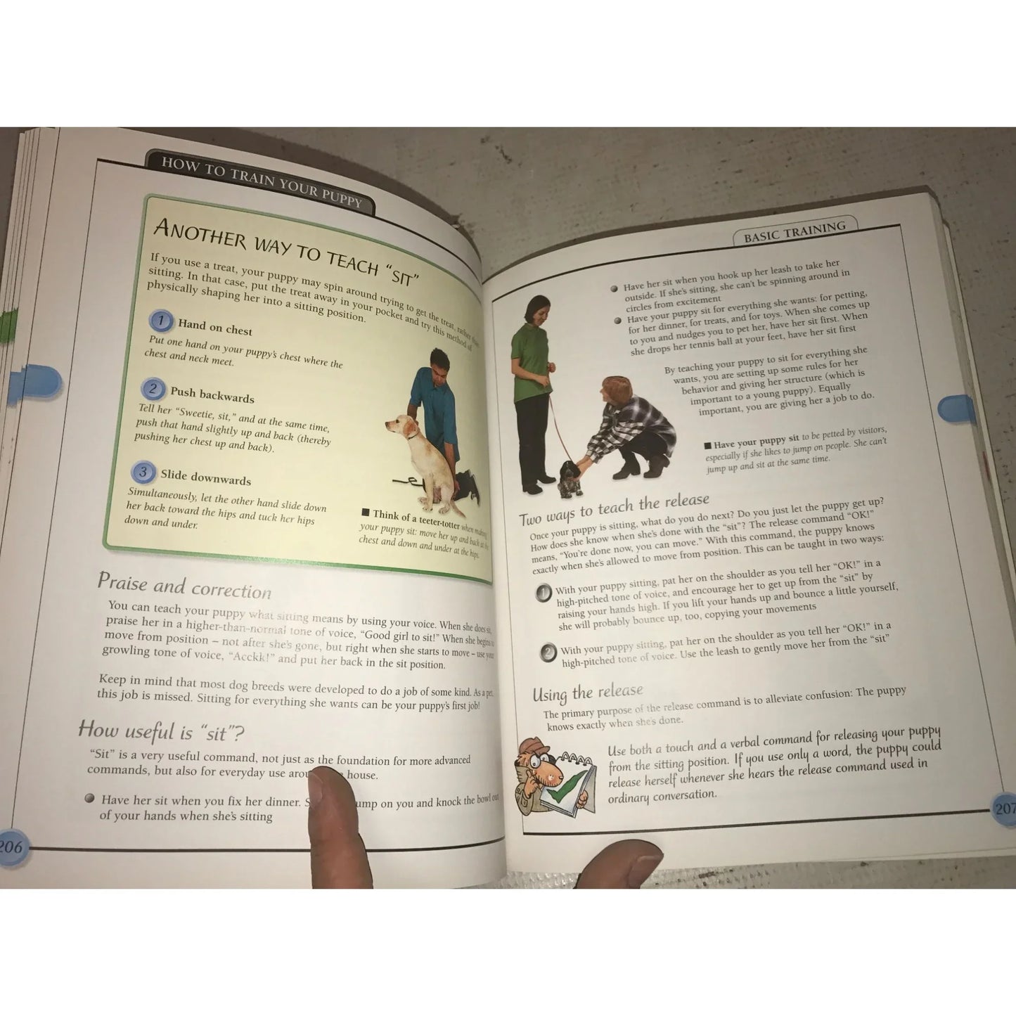 Kiss Guide to Raising a Puppy book by Liz Palika - A+ Stuff