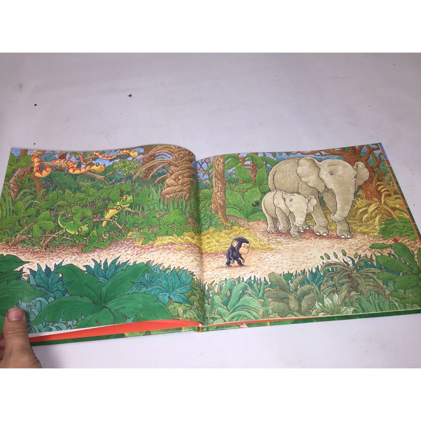 Hug by Jez Alborough Hardcover Children's Book - A+ Stuff