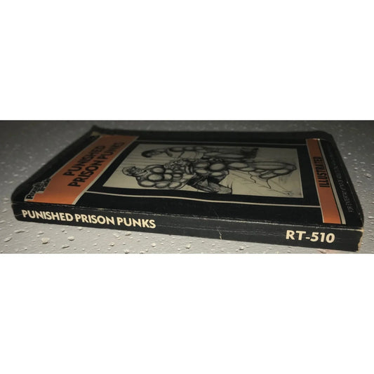 Vintage 1982 Paperback Book "Punished Prison Punks" Adults Only - A+ Stuff