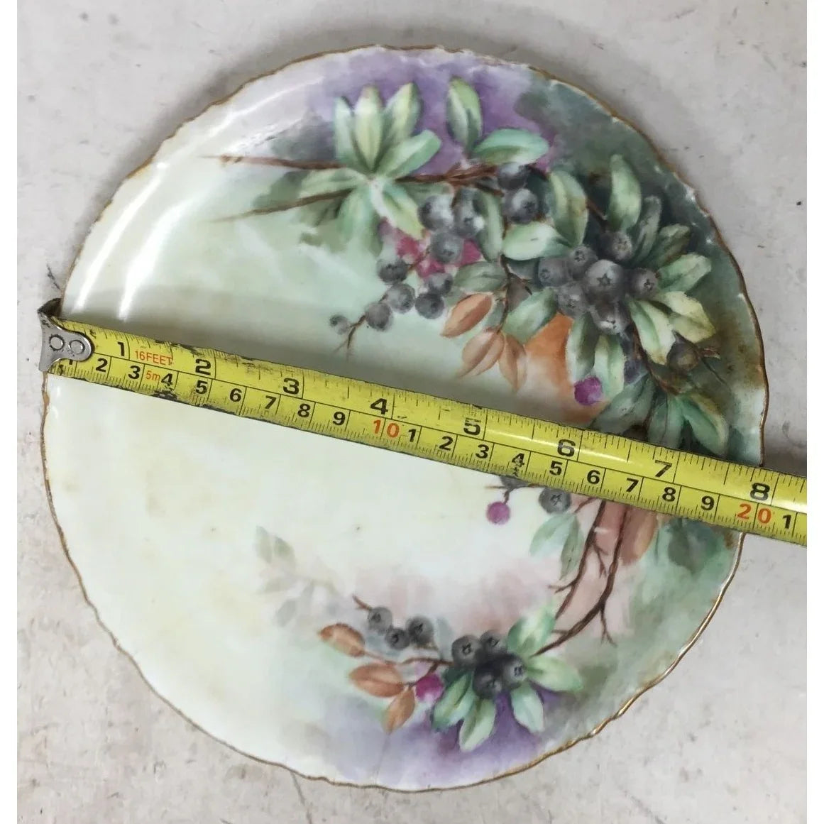 Bavaria 8" Hand Painted Plate with Berries and Flowers on it - A+ Stuff
