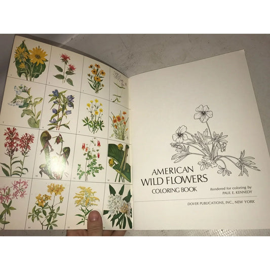 American Wild Flowers Dover Coloring Book- Paul E. Kennedy - A+ Stuff