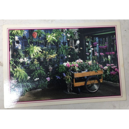 Collectible Post card with Orchids- Longwood Gardens Kennett Square, PA 19348 longwood gardens A+ Stuff