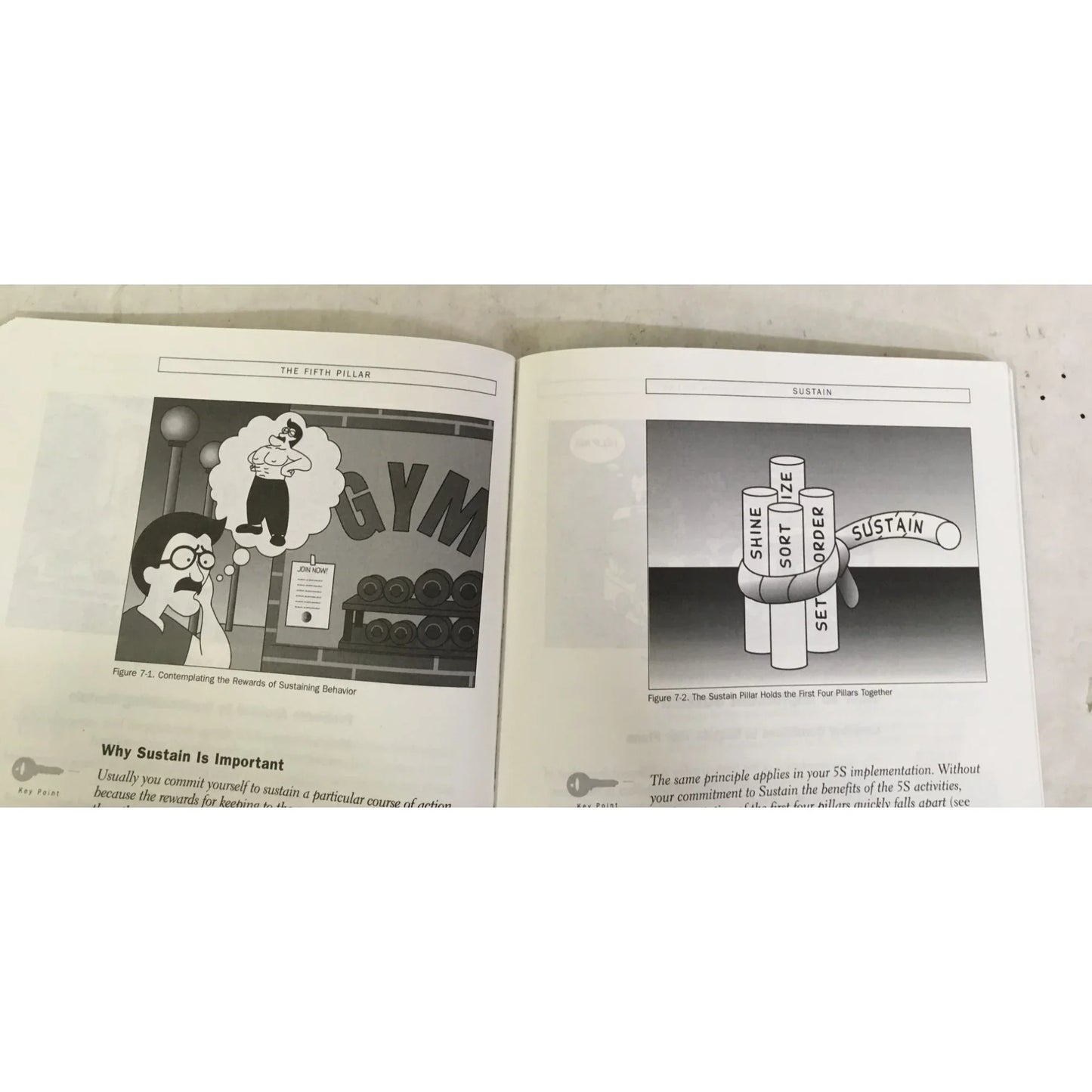5S for Operators 5 Pillars for the Visual Workplace - Shop Floor Series Book - A+ Stuff