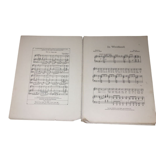 Vintage Sheet Music for the Song "'In Woodland Song" unbranded A+ Stuff Sheet Music