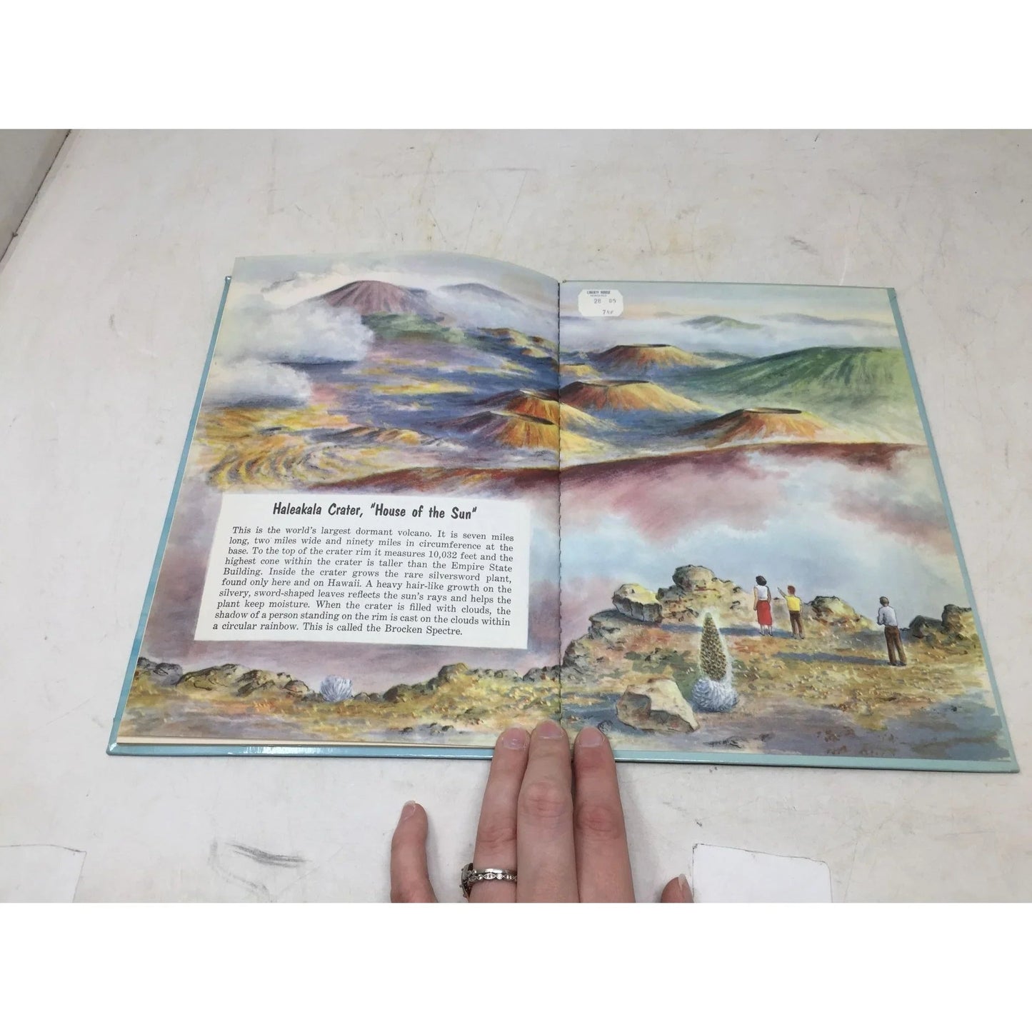 Hawaii by Christie McFall Hardcover Book - A+ Stuff - books - A+ Stuff