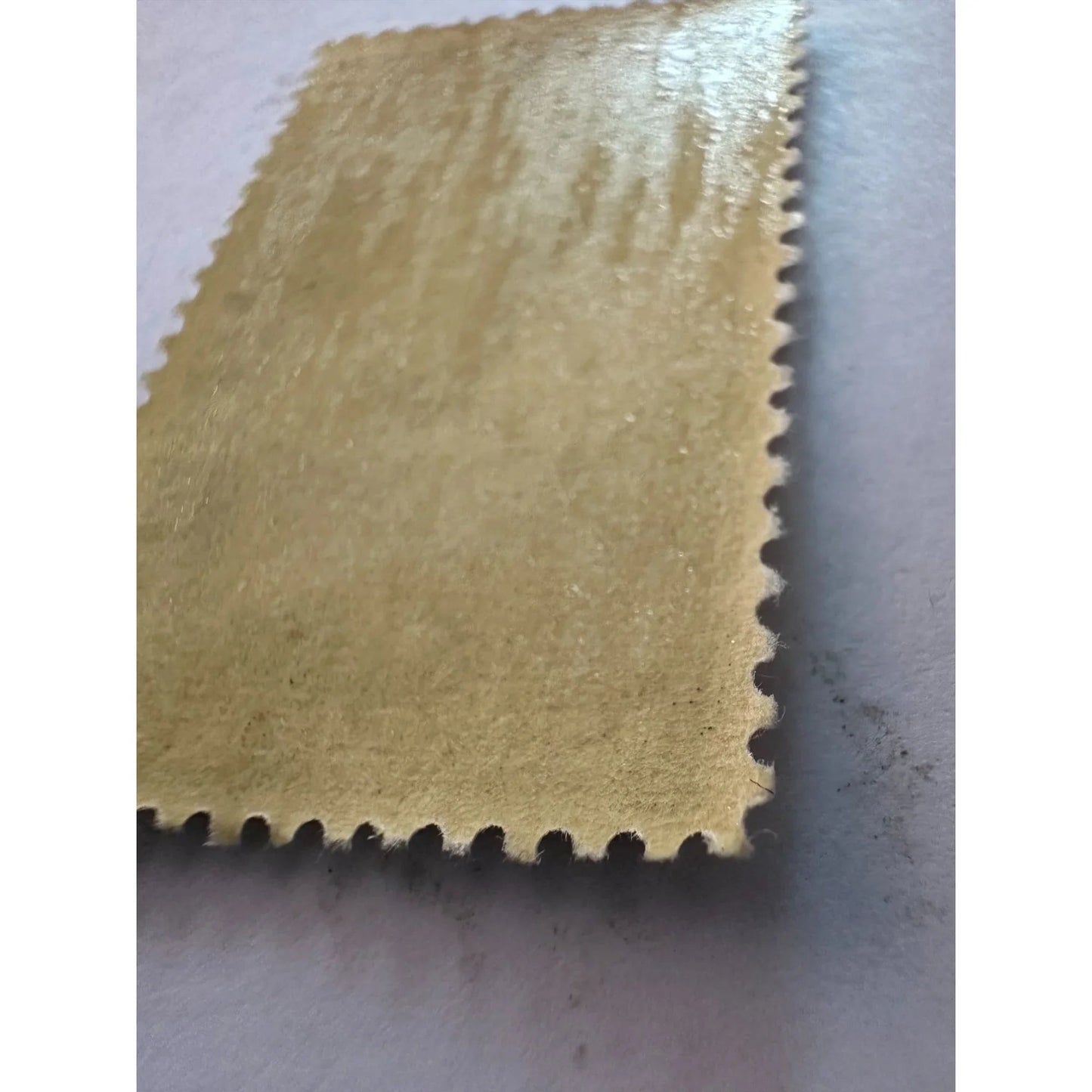 JOHN WESLEY POWELL 1869 EXPEDITION 6 CENT POSTAGE STAMP - A+ Stuff - Stamp - A+ Stuff