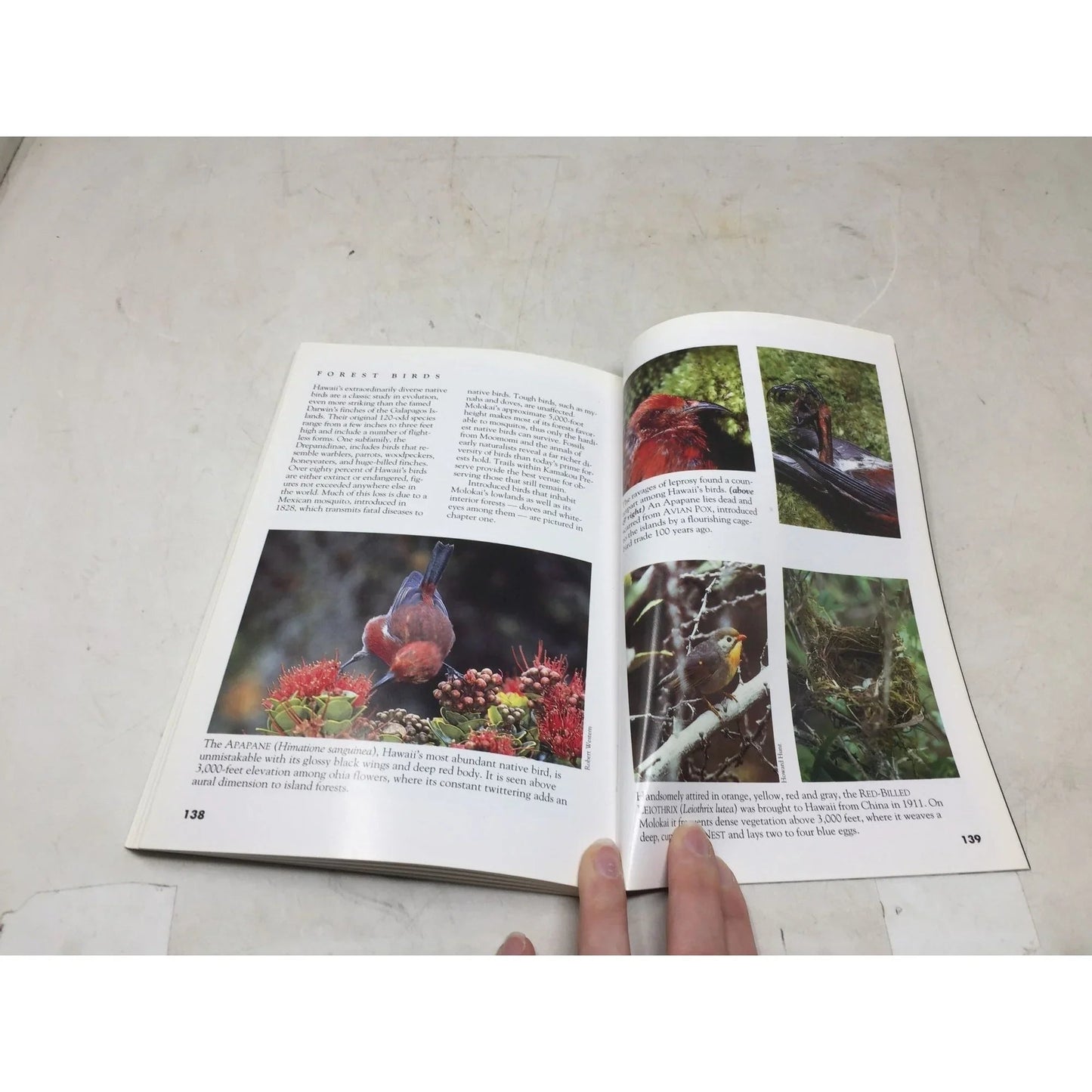 ''Majestic Molokai: A Nature Lover's Guide'' - A+ Stuff - Books - A+ Stuff