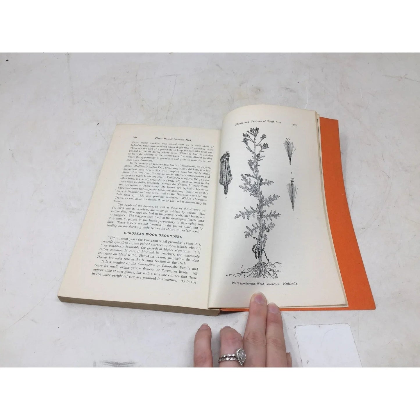 Plants of Hawaii National Park Illustrative of Plants and Customs of the South Seas - A+ Stuff - books - A+ Stuff