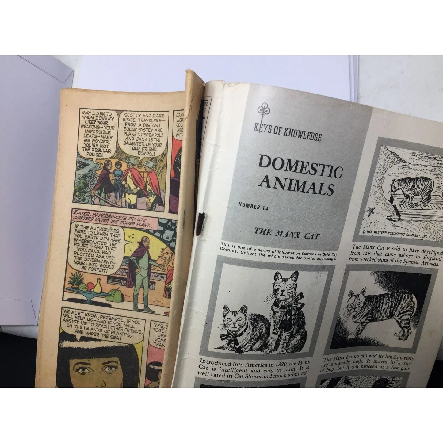 ''Space Family Robinson'' - Vintage Gold Key Comics Comic Book - A+ Stuff - comic book - A+ Stuff