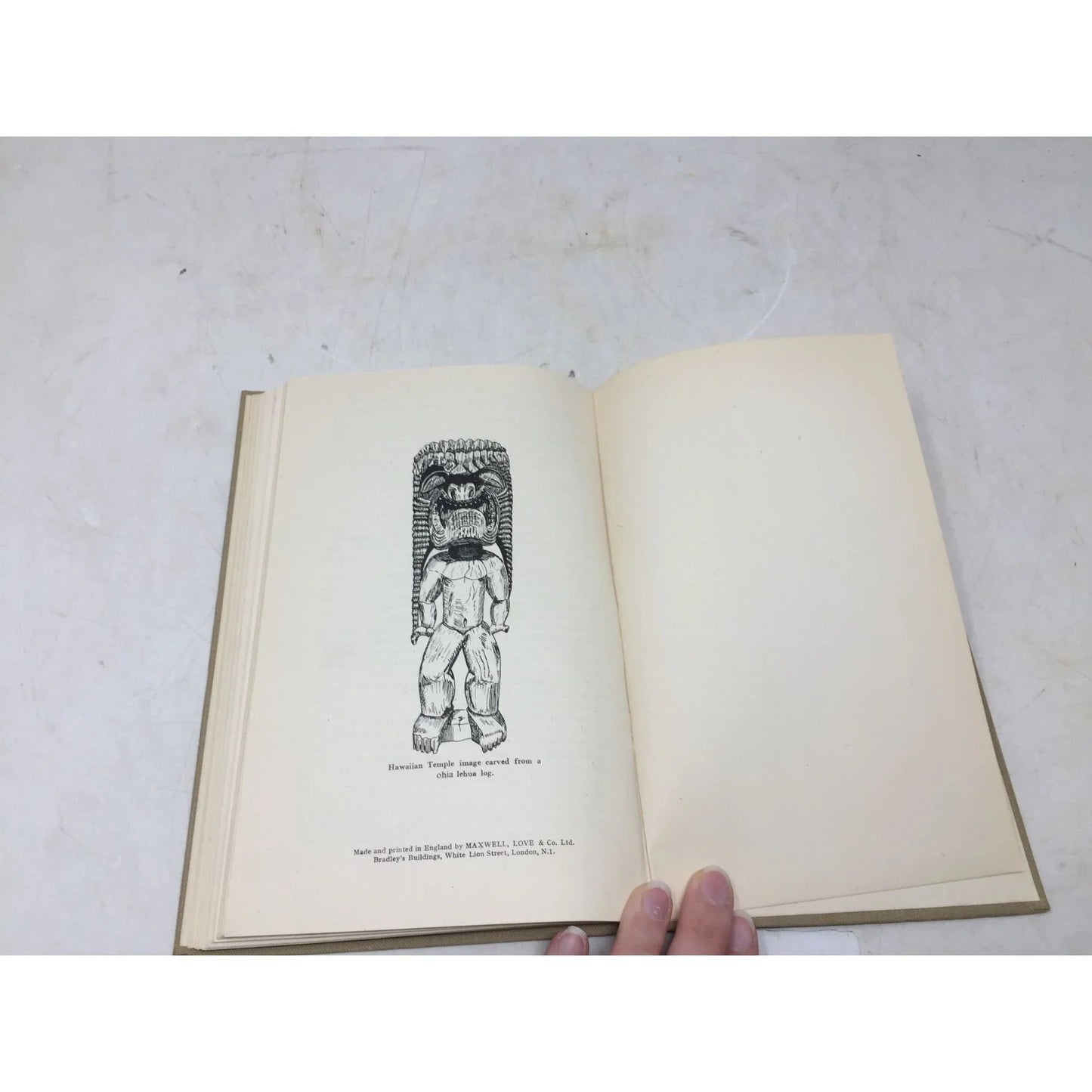 Spotlight on Hawaii by A. P. Sharpe - A+ Stuff - Books - A+ Stuff