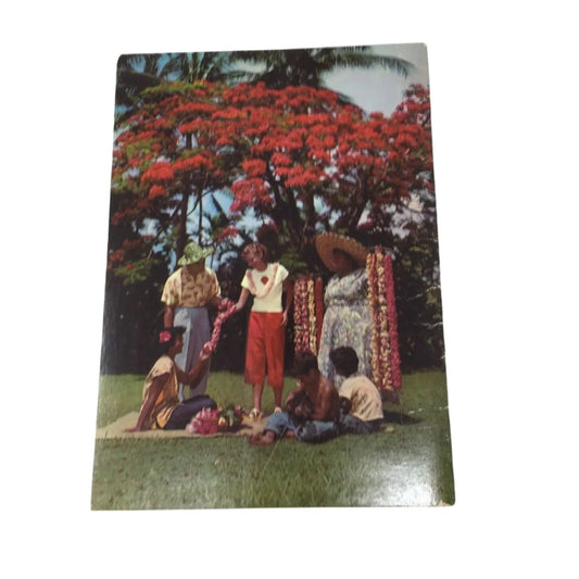 Vintage Book ''Hawaii's Flowers Plants & Fruits'' - A+ Stuff - Books - A+ Stuff