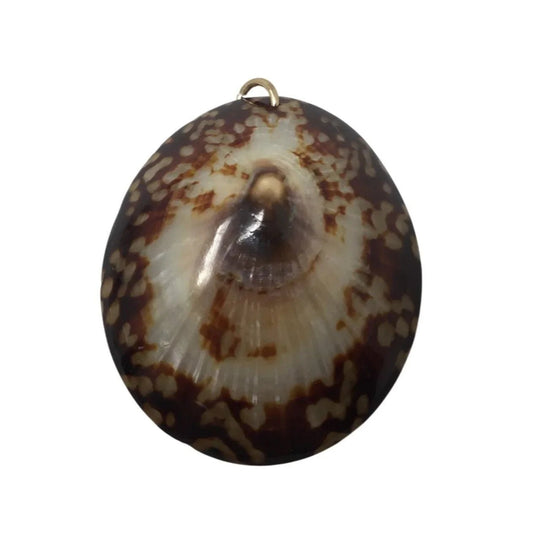 Vintage Brown/White Sea Shell Pendant For Necklace - A+ Stuff - Pendant - A+ Stuff