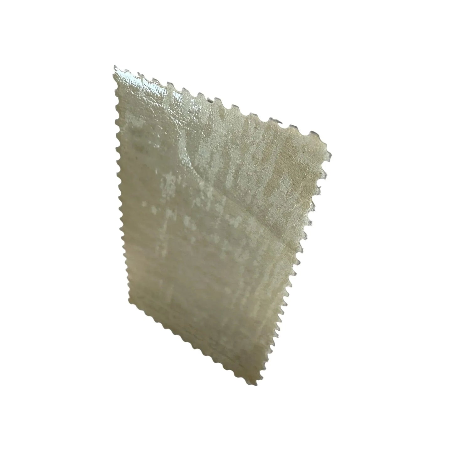 Vintage Postage Stamp - New Jersey Tercentenary 5 Cent United States - A+ Stuff - Stamp - A+ Stuff