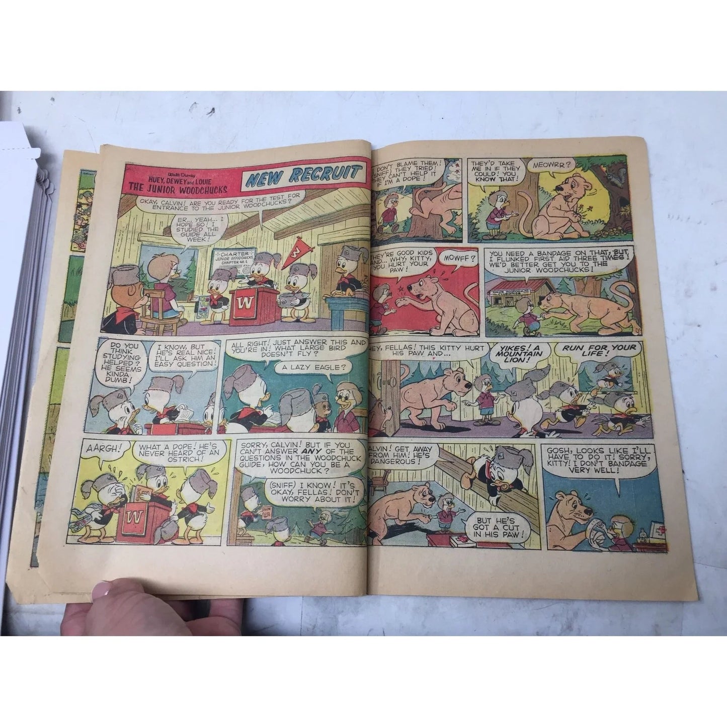 ''Walt Disney Huey, Dewey and Louie Junior Woodchucks'' - Walt Disney productions - comic books - A+ Stuff