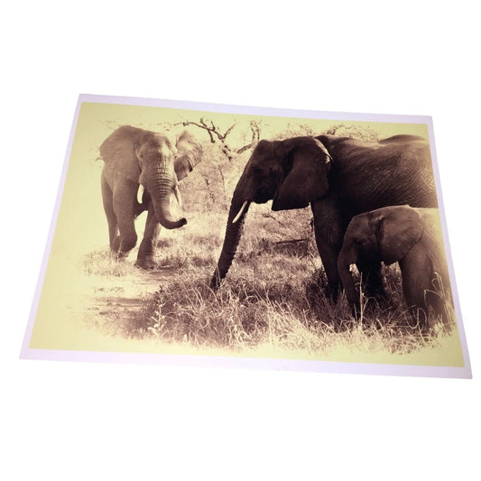 Beautiful Sepia Tone Elephant Photo Print - Adult and Juvenile Elephant 16 x 11.5 Wildlife Africa Photography A+ Stuff A+ Stuff