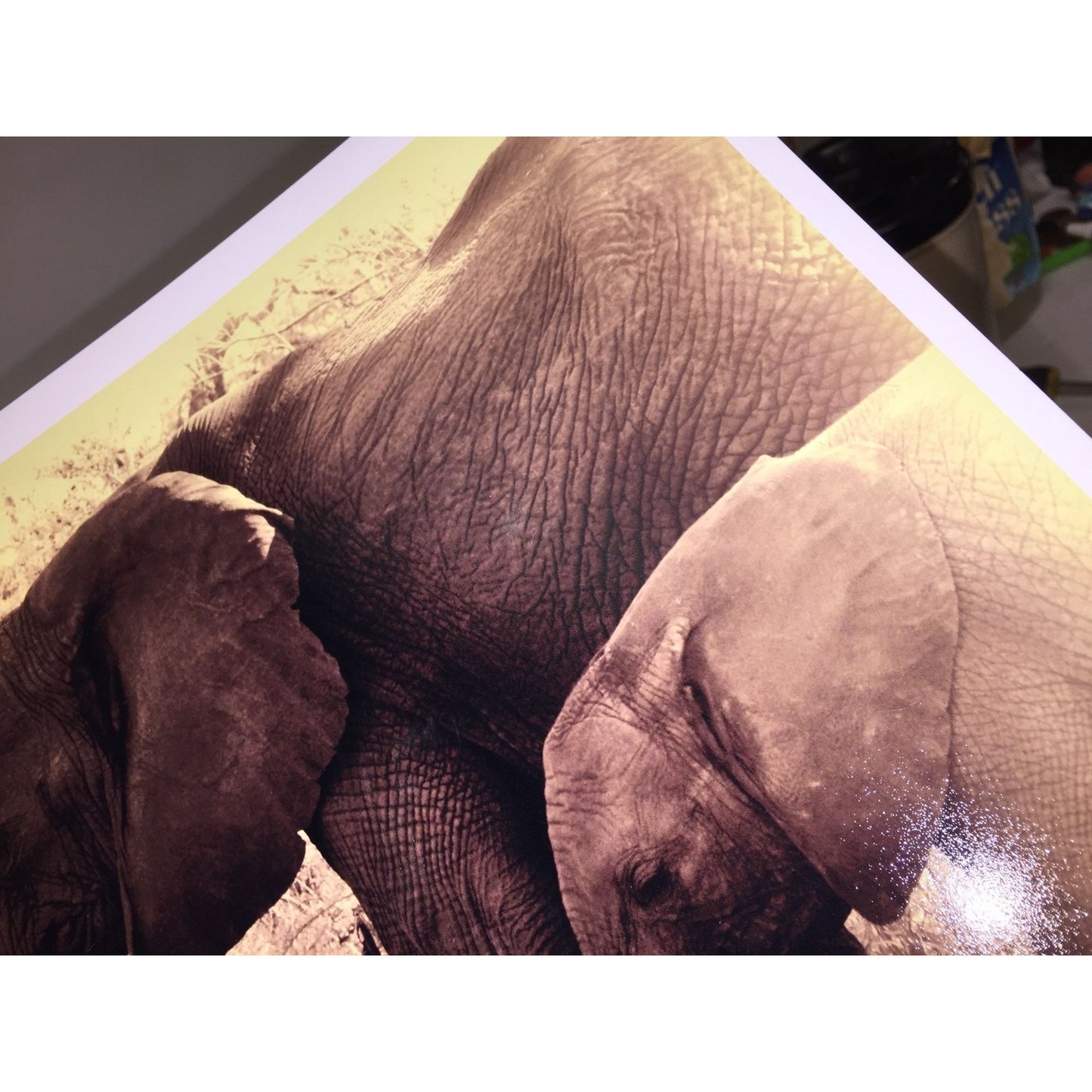 Beautiful Sepia Tone Elephant Photo Print - Adult and Juvenile Elephant 16 x 11.5 Wildlife Africa Photography