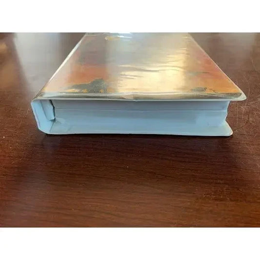 vintage disney vhs- the lion king 2 Disney