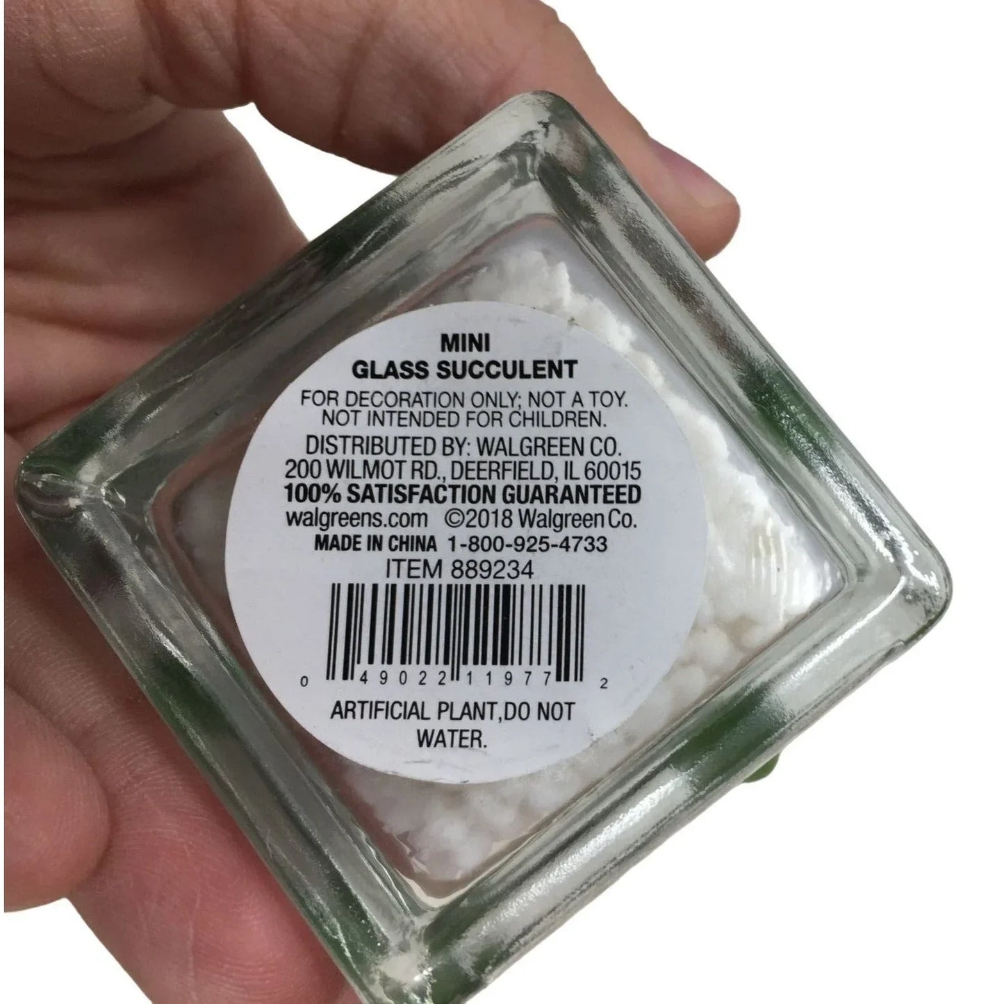 Mini Succulent in jar (faux) with dirt and rock in planter - small 3..25" tall A+ Stuff A+ Stuff