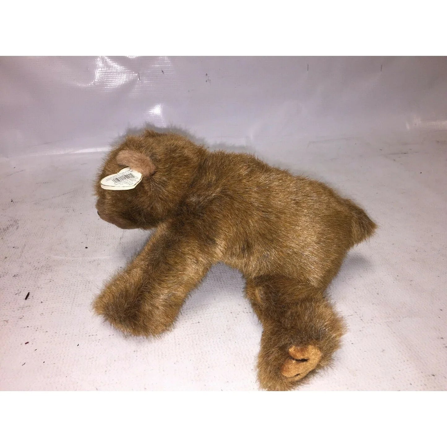 FOREST - Cute & Floppy Ty Plush Bear Big nose, heavy feet SWEET! - Ty A+ Stuff Stuffed Animals